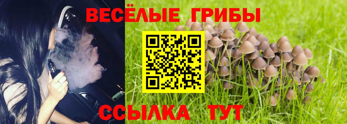 Псилоцибиновые грибы Magic Shrooms Лесной