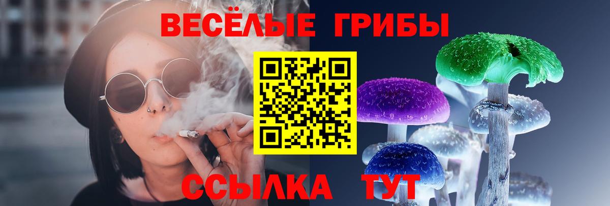 Галлюциногенные грибы Cubensis  Вход с VPN  Галлюциногенные грибы GOLDEN TEACHER  Лесной 